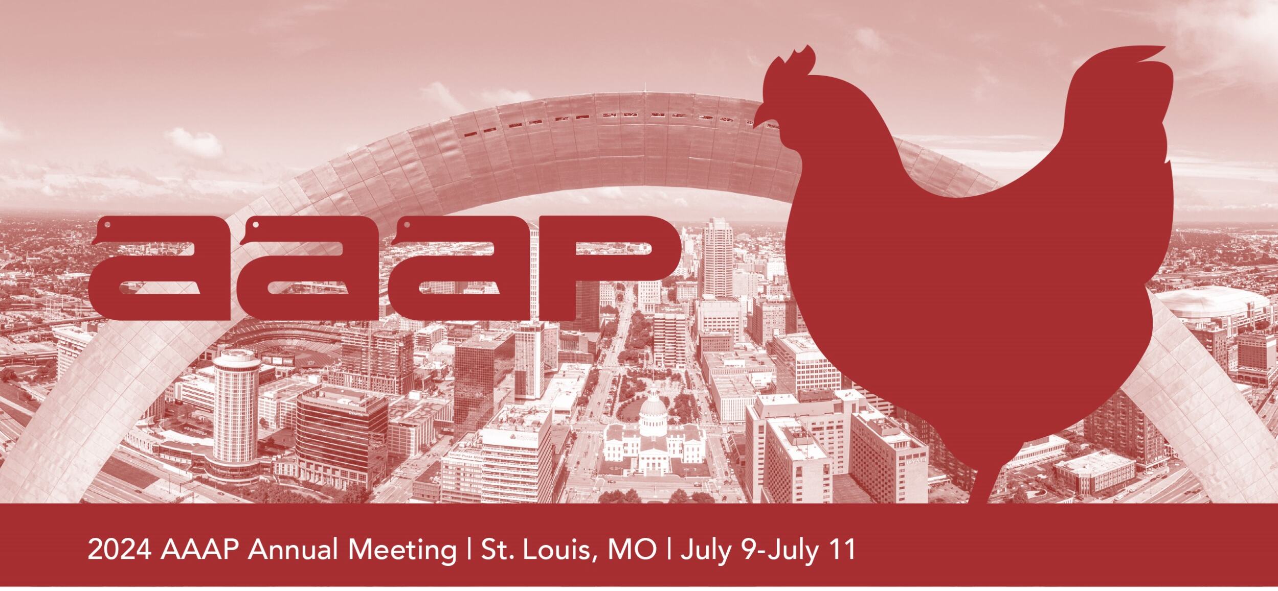 2024 AAAP Annual Meeting St. Louis